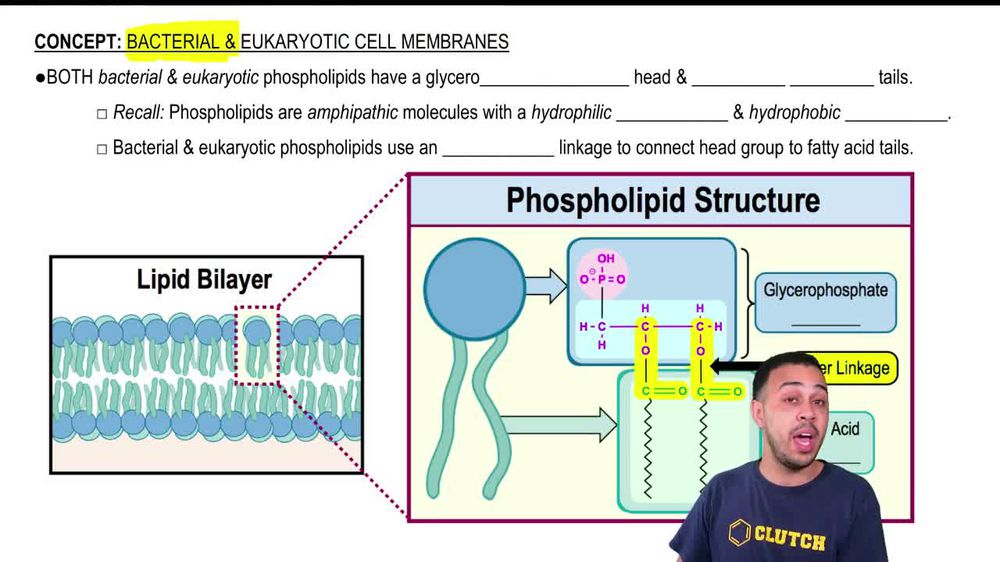 Bacterial & Eukaryotic Cell Membranes