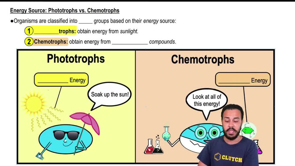 Energy Source:Phototrophs vs. Chemotrophs