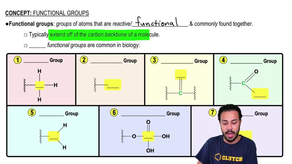 Functional Groups
