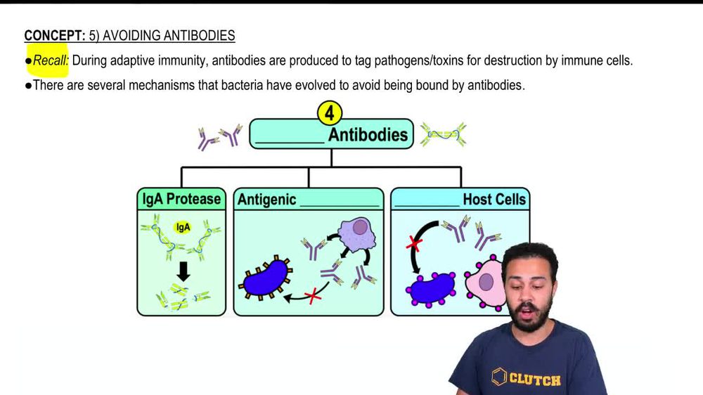 Intro to Avoiding Antibodies