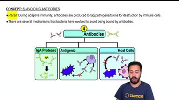 Intro to Avoiding Antibodies
