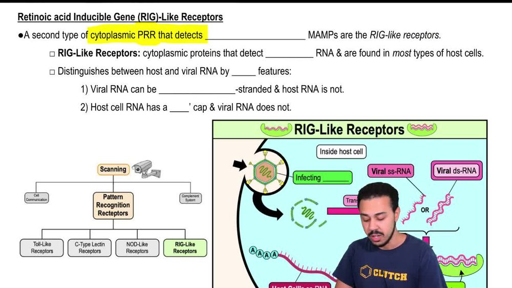 Retinoic acid Inducible Gene (RIG)-Like Receptors