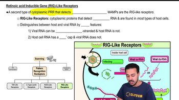 Retinoic acid Inducible Gene (RIG)-Like Receptors