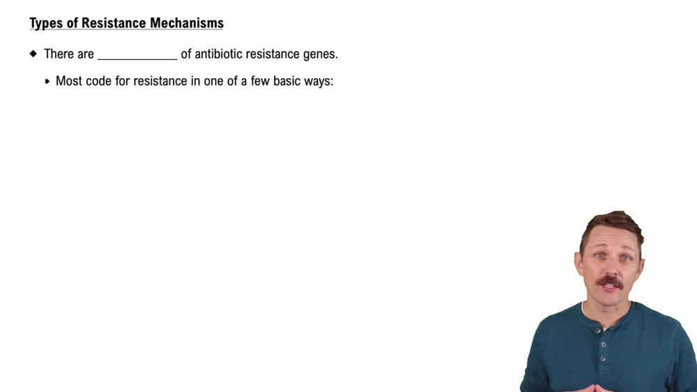 Types of Resistance Mechanisms