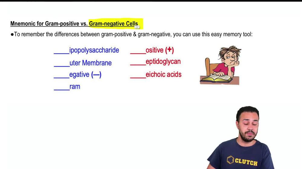 Mnemonic for Gram-Positive vs. Gram-Negative Cell Walls
