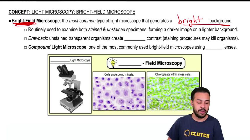 Light Microscopy: Bright-Field Microscopes
