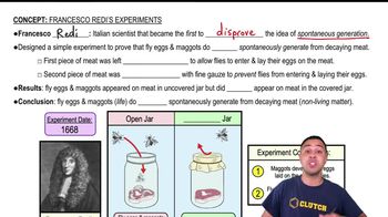Francesco Redi's Experiments