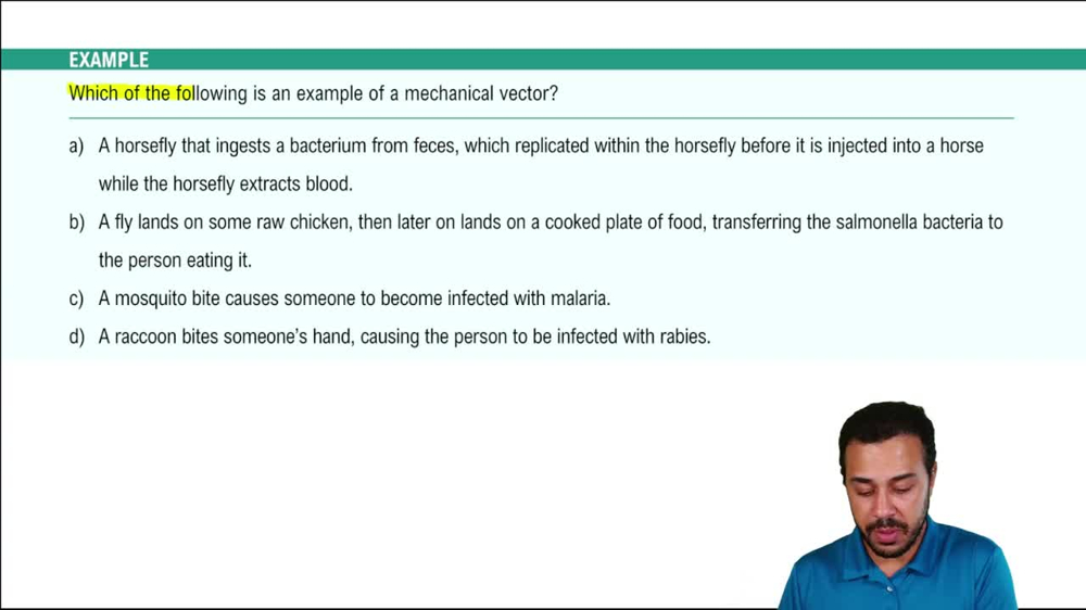 Horizontal Disease Transmission Example 2