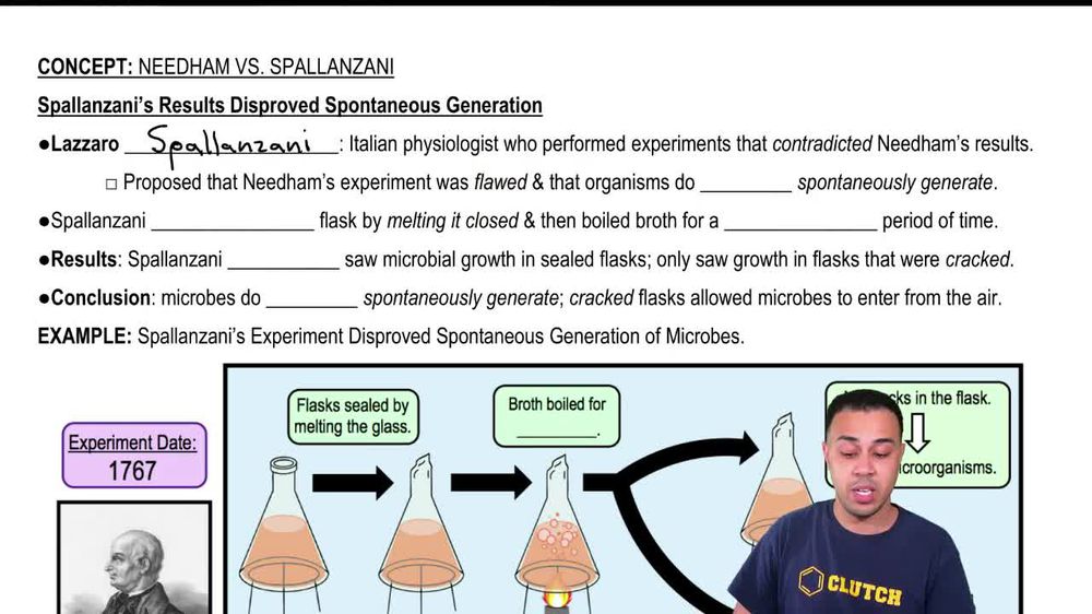 Spallanzani’s Results Disproved Spontaneous Generation