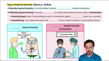 Types of Acquired Immunity: Natural vs. Artificial