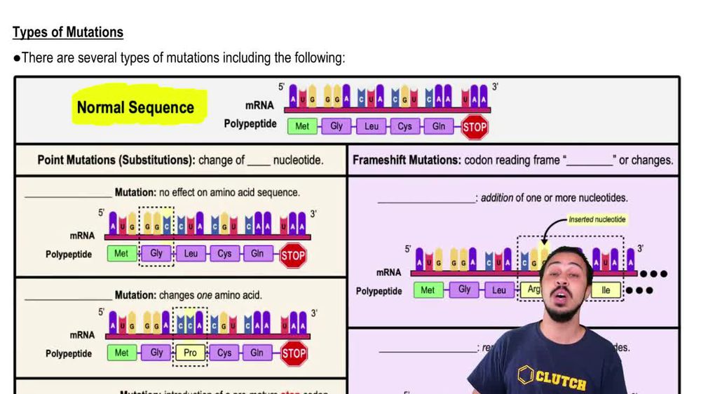 Types of Mutations