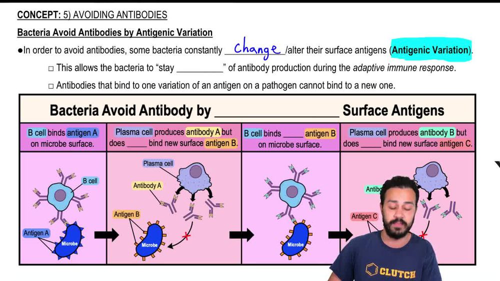 Bacteria Avoid Antibodies by Antigenic Variation