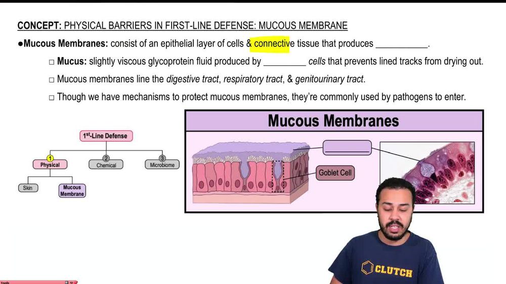 Mucous Membranes