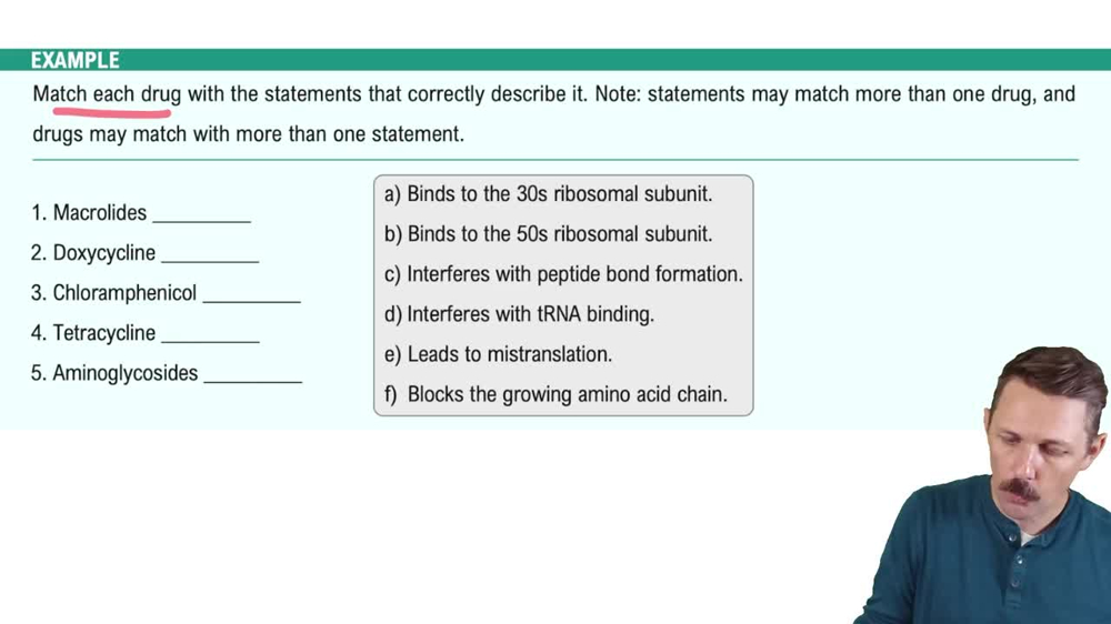 Inhibitors of Protein Synthesis Example 1