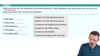 Inhibitors of Protein Synthesis Example 1