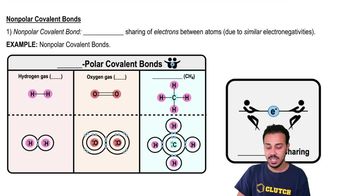 Nonpolar Covalent Bonds