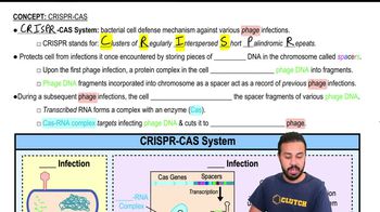 CRISPR CAS