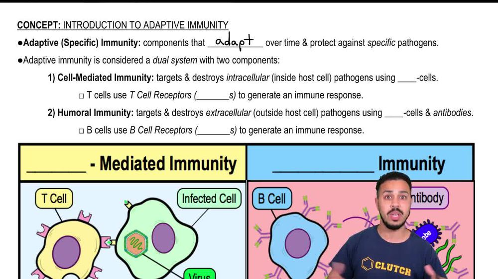 Introduction to Adaptive Immunity