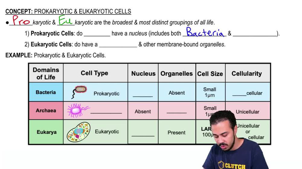 Prokaryotic & Eukaryotic Cells