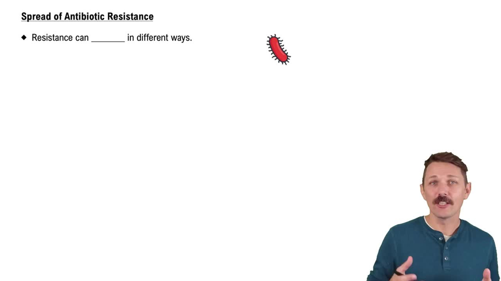 Spread of Antibiotic Resistance