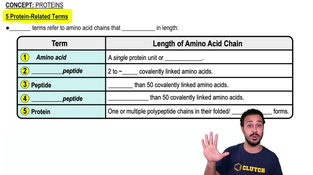 5 Protein-Related Terms