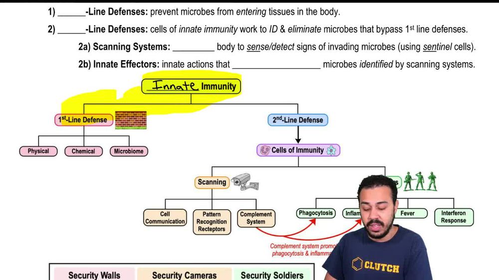 Map of Lesson on Innate Immunity