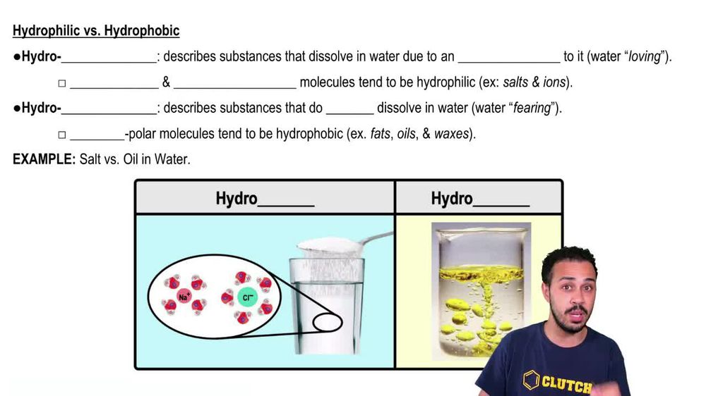 Hydrophilic vs. Hydrophobic