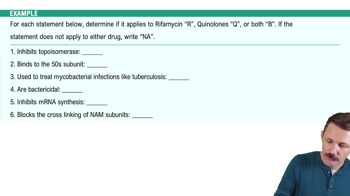 Inhibitors of Nucleic Acid Synthesis Example 1
