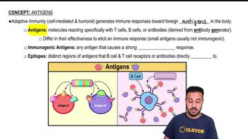 Antigens