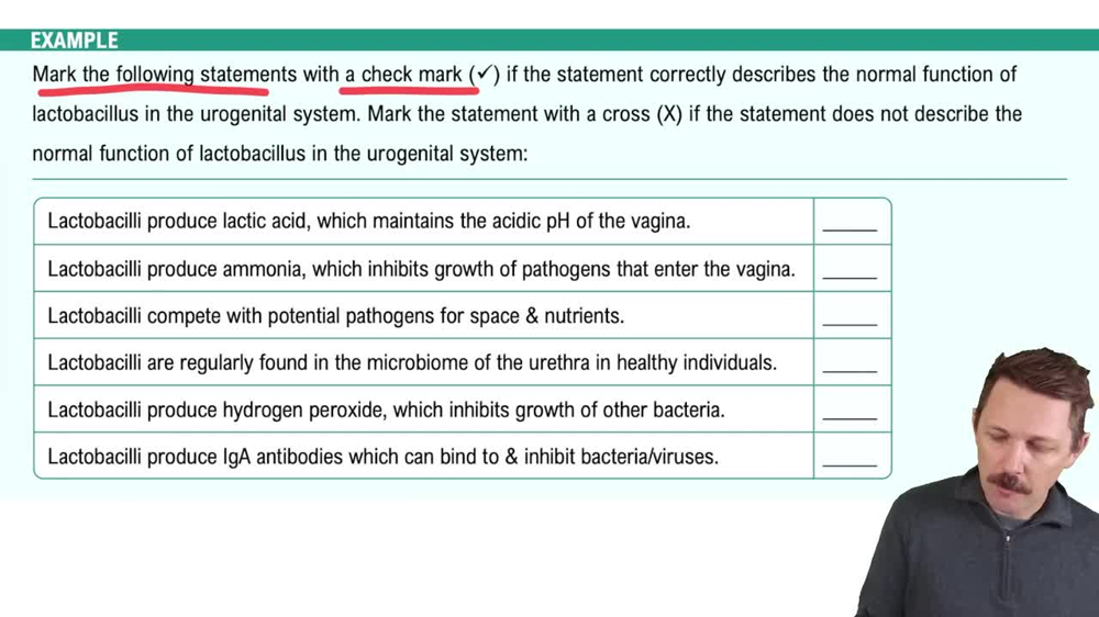 Normal Microbiota of the Urogenital System Example 1