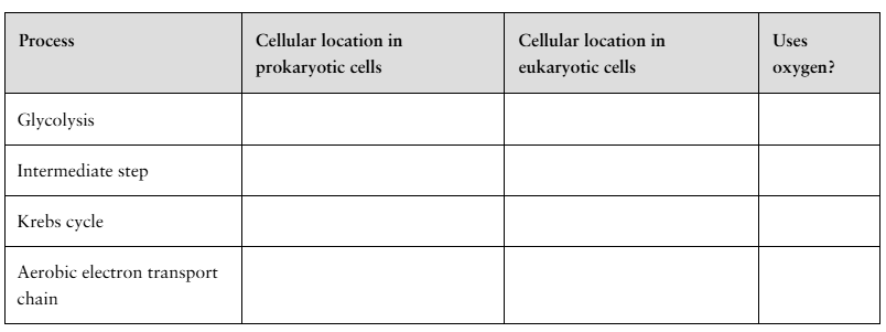 Blank table with columns for process, cellular location in prokaryotic and eukaryotic cells, and oxygen use to be completed.
