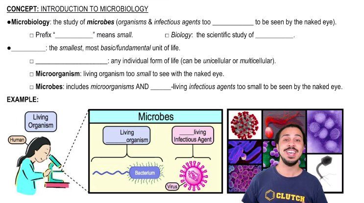 Introduction to Microbiology