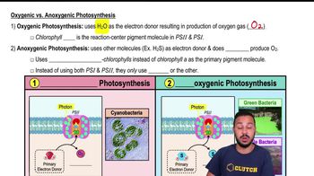 Oxygenic vs. Anoxygenic Photosynthesis
