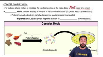 Complex Media