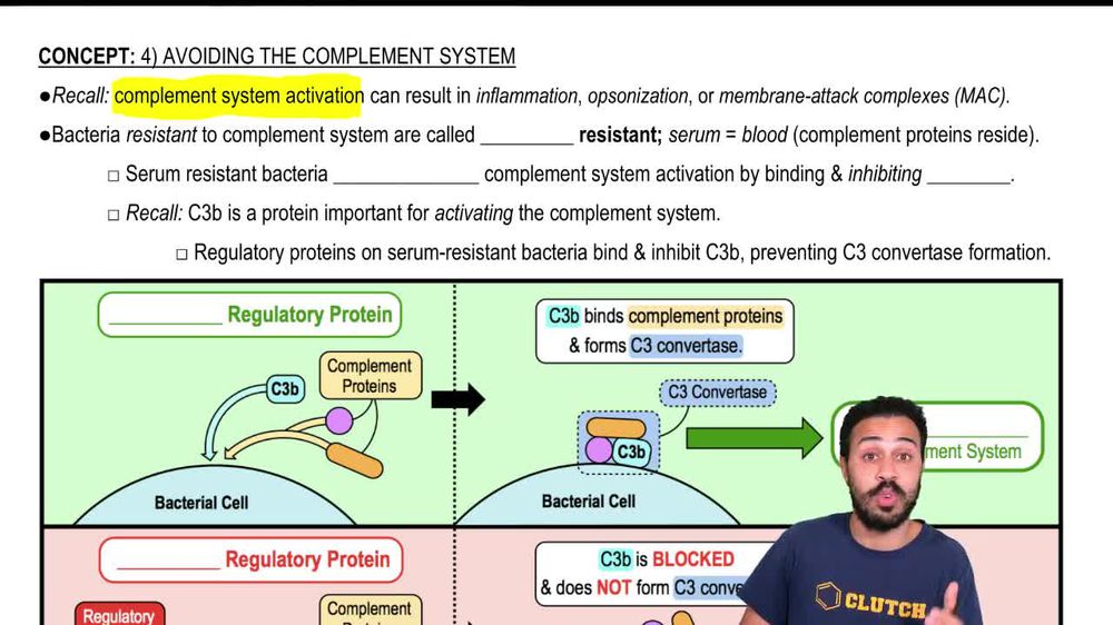 Avoiding Complement System