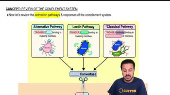 Review of the Complement System