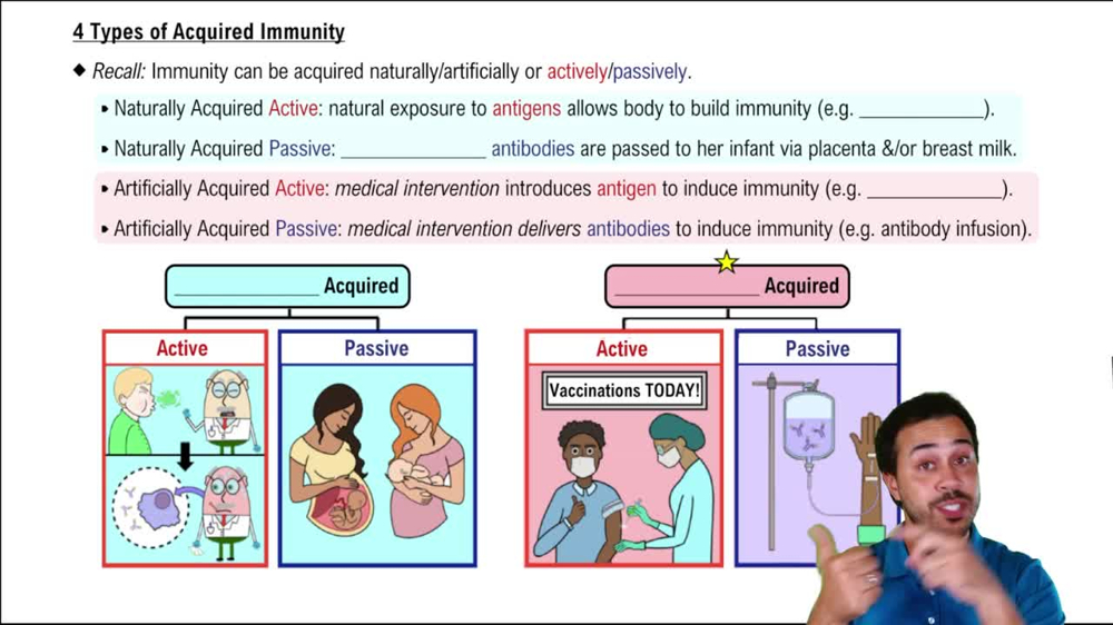 4 Types of Acquired Immunity