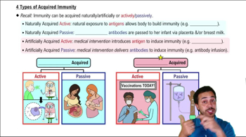 4 Types of Acquired Immunity