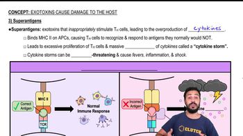 3) Superantigens