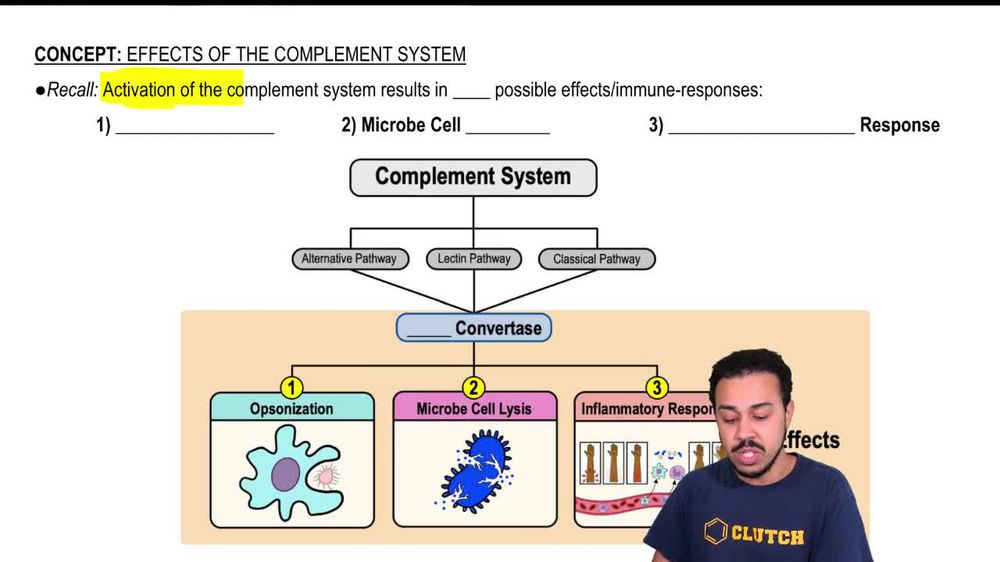 Effects of the Complement System