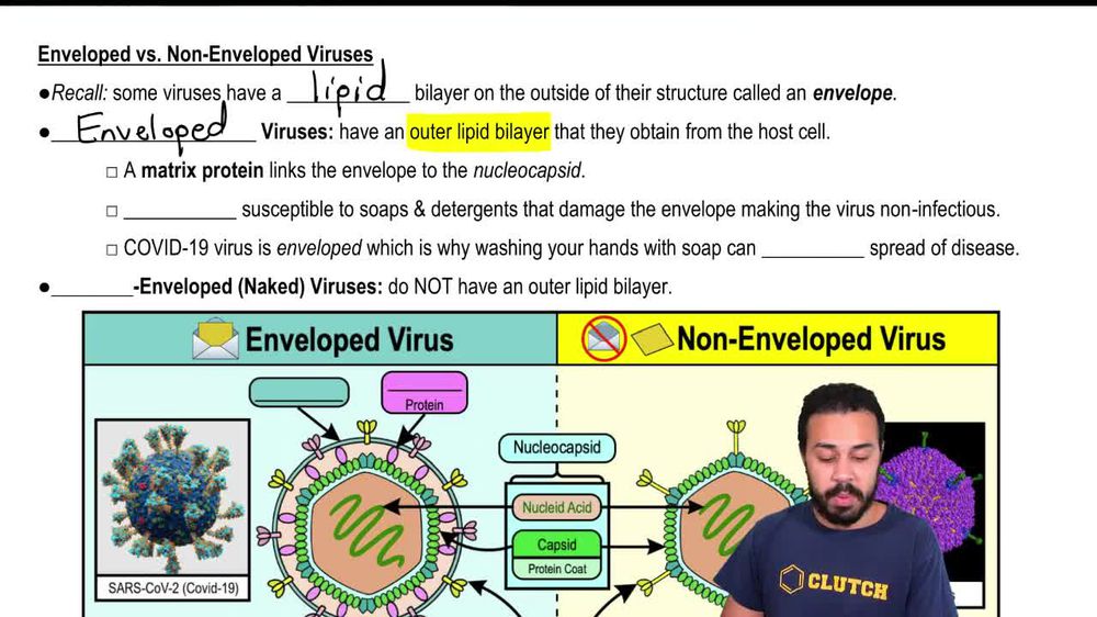 Enveloped vs. Non-Enveloped Viruses