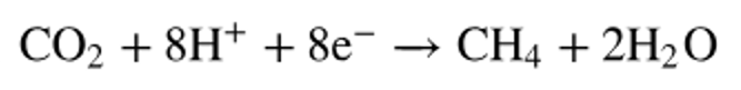 Chemical equation showing carbon dioxide reduced to methane with protons and electrons producing water.