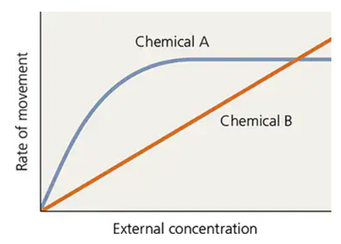 Graph showing Chemical A's diffusion rate plateaus with concentration, while Chemical B's rate increases linearly.