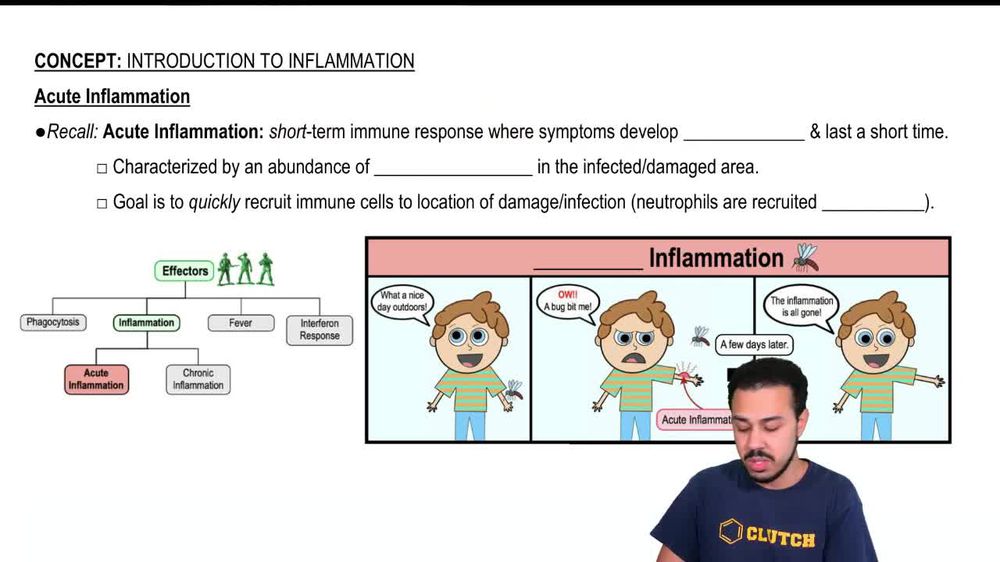 Acute Inflammation