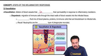 3) Vasodilation