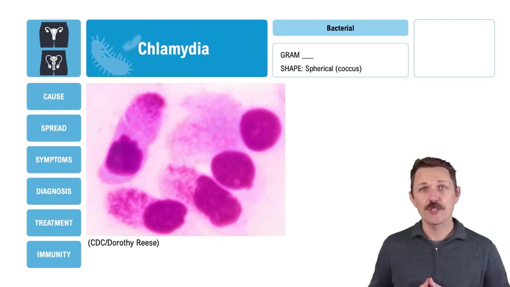 Chlamydia
