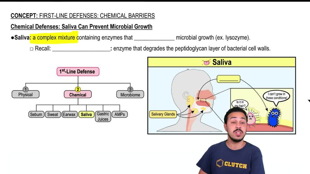 Chemical Defenses: Saliva Can Prevent Microbial Growth