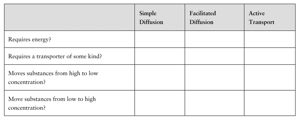 Table with questions about energy use, transporters, and concentration movement for three types of cellular transport.