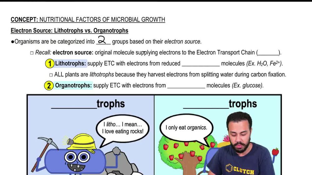 Electron Source:Lithotrophs vs. Organotrophs