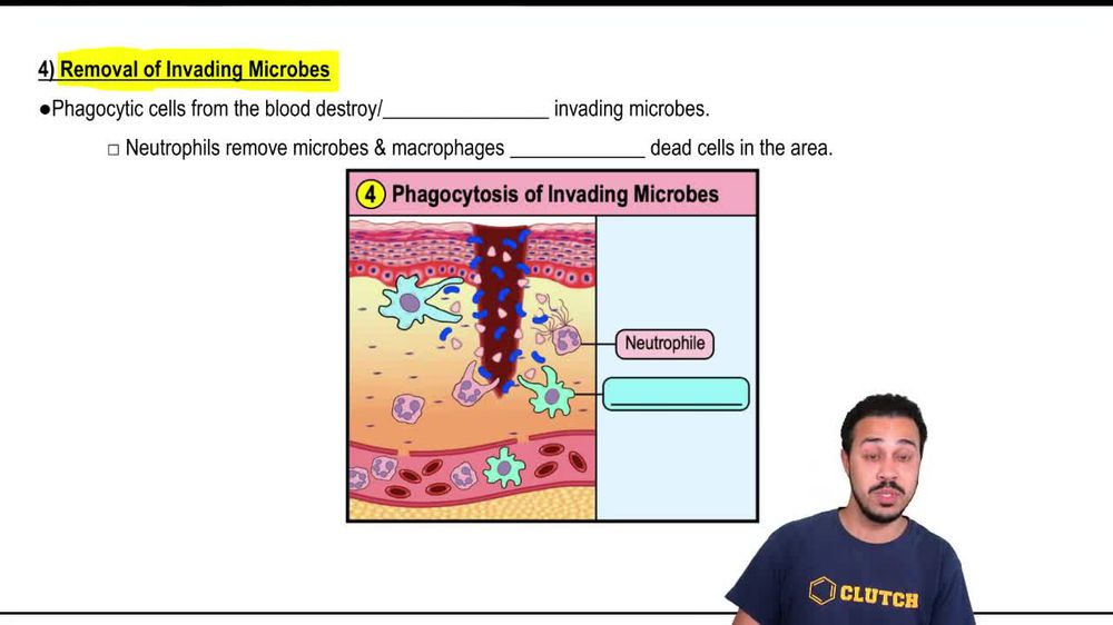 4) Removal of Invading Microbes